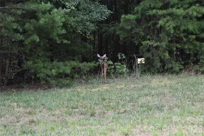 178 Kingfisher Court #29, Badin Lake, NC 28127 - Photo 36
