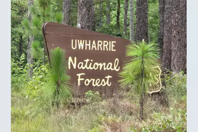 178 Kingfisher Court #29, Badin Lake, NC 28127 - Photo 44