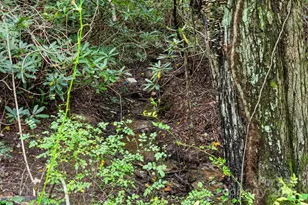 99999 Rock Creek Rd, Burnsville, NC 28714 - Photo 6