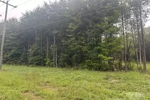 2354 Mt Pleasant Rd, Sherrills Ford, NC 28673 - Photo 1