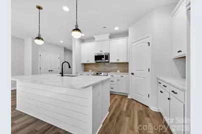 241 Alluvium Lane, Waxhaw, NC 28173 - Photo 2
