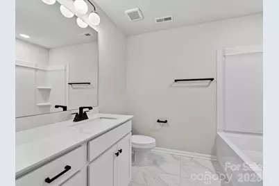 241 Alluvium Lane, Waxhaw, NC 28173 - Photo 22