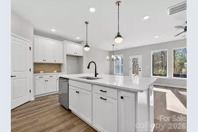 241 Alluvium Lane, Waxhaw, NC 28173 - Photo 6