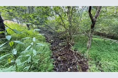 Tbd Lot 40 Creek Court, Jefferson, NC 28640 - Photo 6