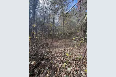 200 Little Wings Mountain Road, Columbus, NC 28722 - Photo 42