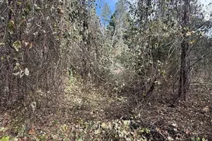 200 Little Wings Mountain Rd, Columbus, NC 28722 - Photo 40