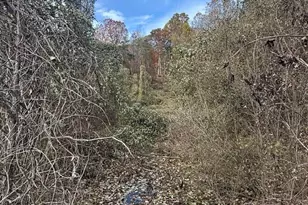 200 Little Wings Mountain Rd, Columbus, NC 28722 - Photo 38