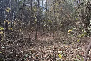 200 Little Wings Mountain Rd, Columbus, NC 28722 - Photo 42