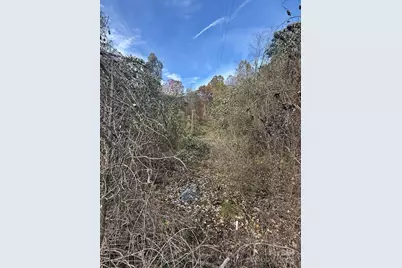 200 Little Wings Mountain Road, Columbus, NC 28722 - Photo 38