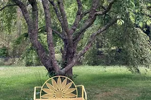 117 Woods View Trail, Fairview, NC 28730 - Photo 34