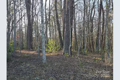 117 Woods View Trail, Fairview, NC 28730 - Photo 30