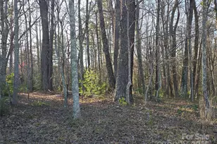 117 Woods View Trail, Fairview, NC 28730 - Photo 30