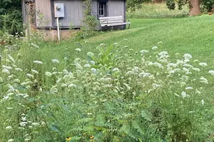 117 Woods View Trail, Fairview, NC 28730 - Photo 36