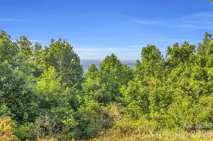 3605 Skyuka Mountain Rd, Columbus, NC 28722 - Photo 30