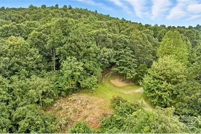 3605 Skyuka Mountain Road, Columbus, NC 28722 - Photo 38