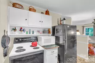 3605 Skyuka Mountain Rd, Columbus, NC 28722 - Photo 10