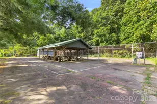 3605 Skyuka Mountain Rd, Columbus, NC 28722 - Photo 36