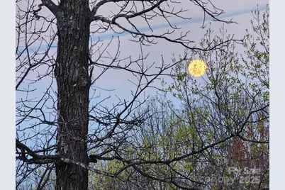 186 Black Ridge Drive, Bostic, NC 28018 - Photo 44