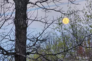 186 Black Ridge Dr, Bostic, NC 28018 - Photo 44