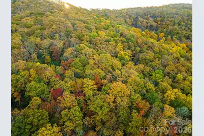 Tbd Summer Haven Road #1-6, Swannanoa, NC 28778 - Photo 30
