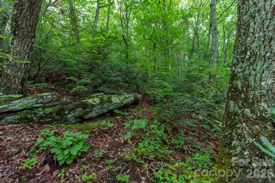Tbd Summer Haven Road #1-6, Swannanoa, NC 28778 - Photo 14