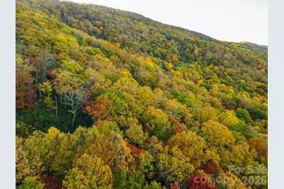 Tbd Summer Haven Road #1-6, Swannanoa, NC 28778 - Photo 32