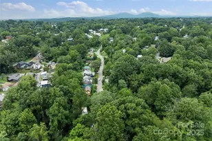 45 Waynesville Ave, Asheville, NC 28806 - Photo 38