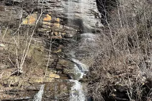 926 White Oak Mountain Rd, Columbus, NC 28722 - Photo 42