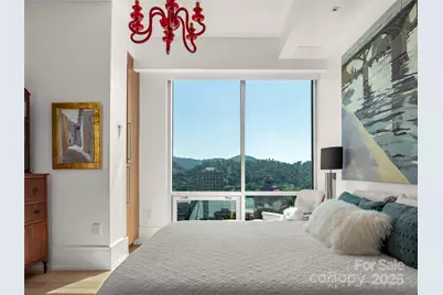 7 Patton Avenue #1503, Asheville, NC 28801 - Photo 24