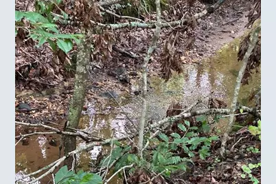 584 Groves Road, Union Mills, NC 28167 - Photo 12