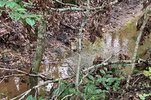 584 Groves Rd, Union Mills, NC 28167 - Photo 12