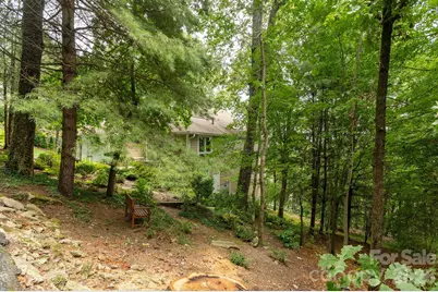 210 Claymoor Court, Flat Rock, NC 28731 - Photo 38