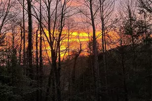 210 Claymoor Ct, Flat Rock, NC 28731 - Photo 40