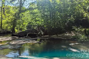 257 Roadrunner Cir, Lake Lure, NC 28746 - Photo 38