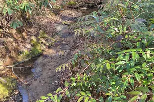 257 Roadrunner Cir, Lake Lure, NC 28746 - Photo 28