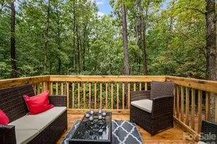 257 Roadrunner Cir, Lake Lure, NC 28746 - Photo 22