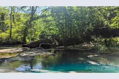 257 Roadrunner Circle, Lake Lure, NC 28746 - Photo 42