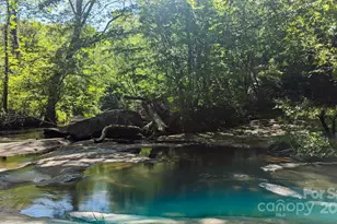 257 Roadrunner Circle, Lake Lure, NC 28746 - Photo 42