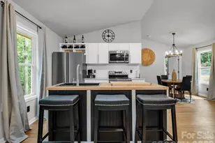 257 Roadrunner Cir, Lake Lure, NC 28746 - Photo 8