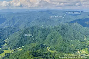 12215 Big Laurel Rd, Marshall, NC 28753 - Photo 40