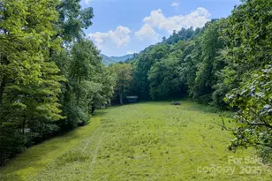 12215 Big Laurel Rd, Marshall, NC 28753 - Photo 4