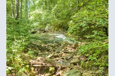 4828 Max Patch Road, Clyde, NC 28721 - Photo 12