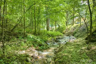 4828 Max Patch Rd, Clyde, NC 28721 - Photo 14