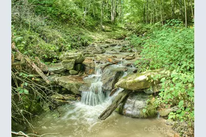 4828 Max Patch Road, Clyde, NC 28721 - Photo 4