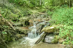 4828 Max Patch Rd, Clyde, NC 28721 - Photo 4