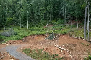 44 Deer Trl Dr, Burnsville, NC 28714 - Photo 14