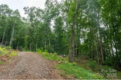 44 Deer Trail Drive, Burnsville, NC 28714 - Photo 10