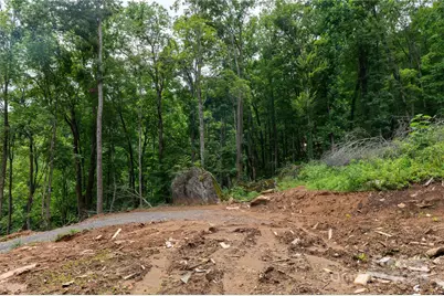 44 Deer Trail Drive, Burnsville, NC 28714 - Photo 22