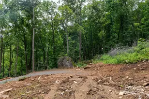 44 Deer Trl Dr, Burnsville, NC 28714 - Photo 22