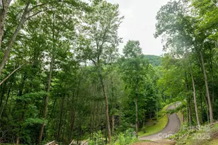 44 Deer Trl Dr, Burnsville, NC 28714 - Photo 12